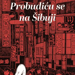 prodaja knjiga-Gift shop Dorćol