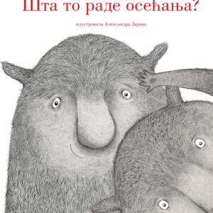 &Scaron;ta to rade osećanja?