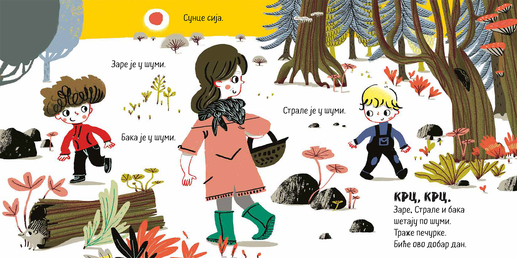 Prodaja dečijih knjiga, Carigradska 24, Dorćol