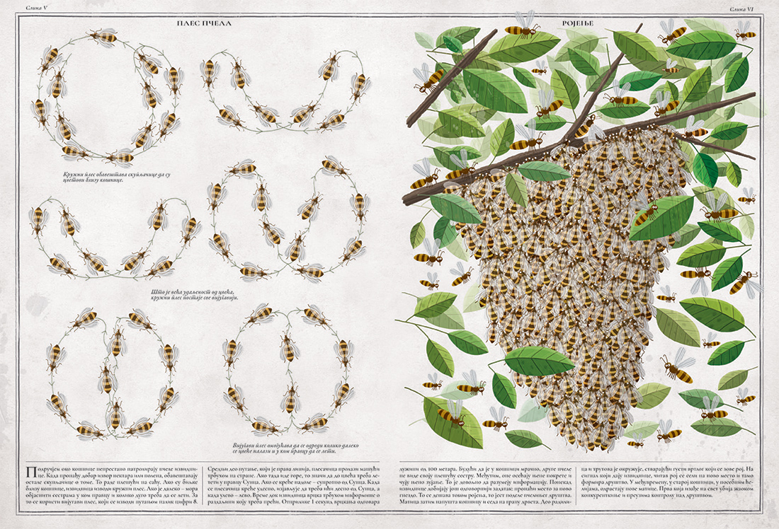 Prodaja dečijih knjiga, Carigradska 24, Dorćol