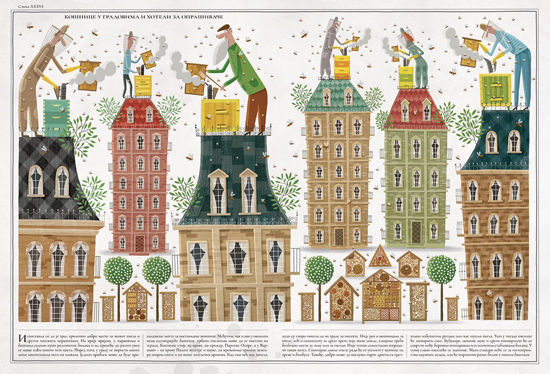 Prodaja dečijih knjiga, Carigradska 24, Dorćol